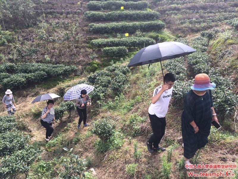 李萍：考察归来话茶道——2018年暑期贵州茶俗公海赌赌船官网jc710考察心得